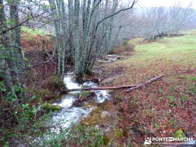 Valle del Ambroz-Sierra de Bejar - Gredos; fotos senderismo; grupos de montaña madrid; senderismo